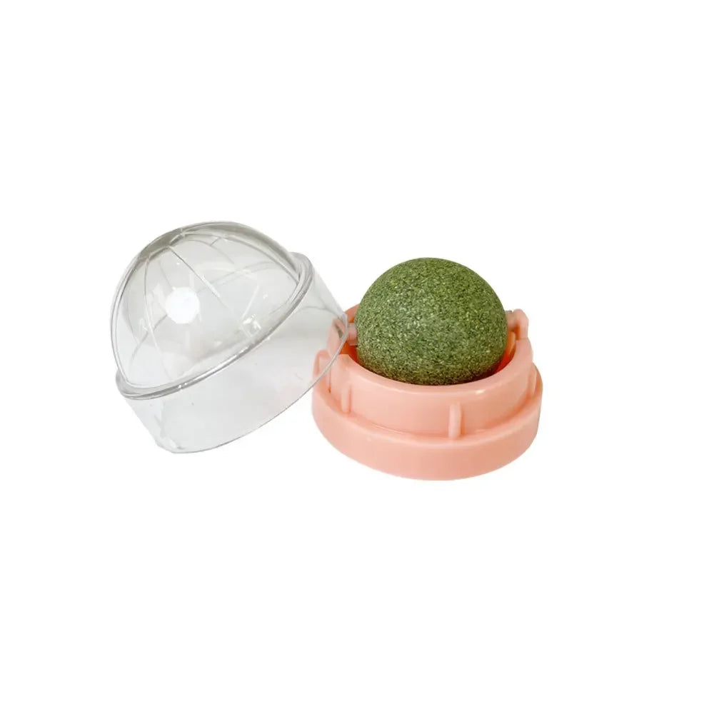Cat Grass Catnip Ball – Stick-On Toy that Promotes Digestion & Fun