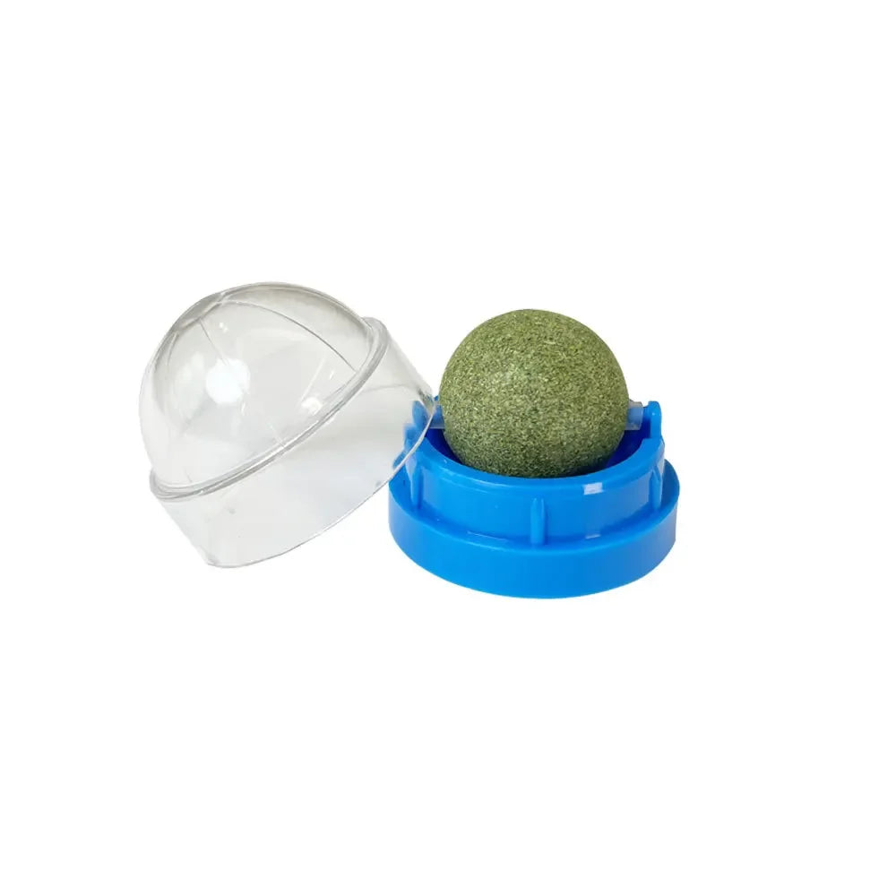 Cat Grass Catnip Ball – Stick-On Toy that Promotes Digestion & Fun