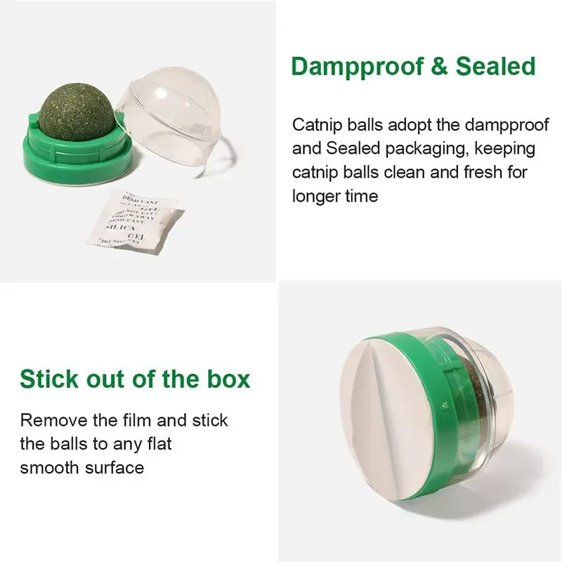 Cat Grass Catnip Ball – Stick-On Toy that Promotes Digestion & Fun