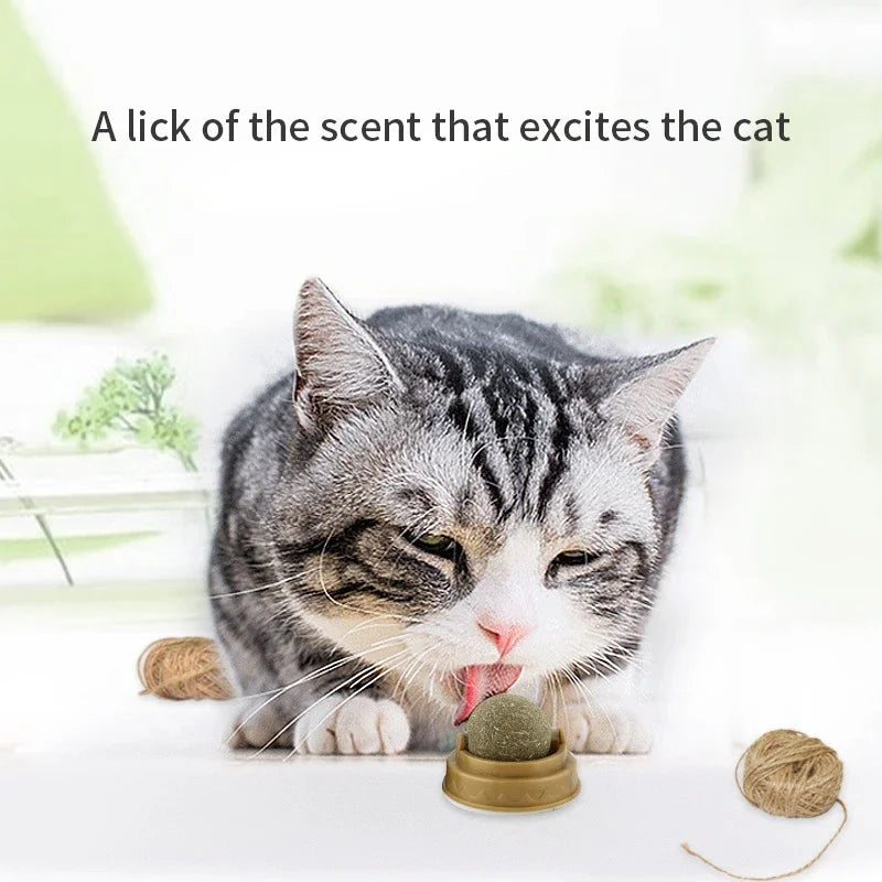 Cat Grass Catnip Ball – Stick-On Toy that Promotes Digestion & Fun