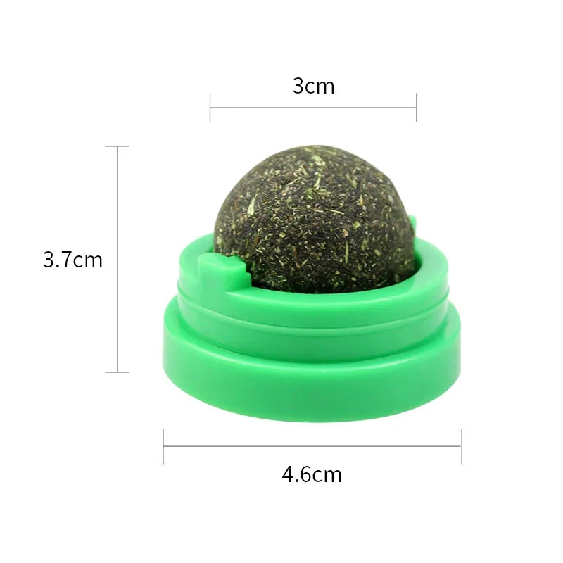 Cat Grass Catnip Ball – Stick-On Toy that Promotes Digestion & Fun