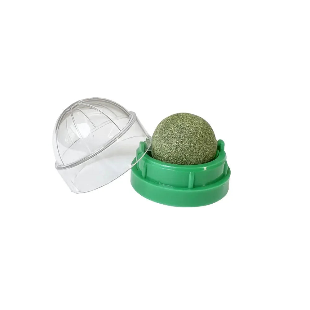 Cat Grass Catnip Ball – Stick-On Toy that Promotes Digestion & Fun