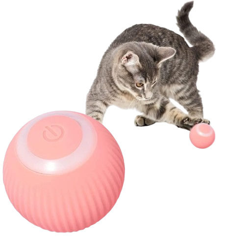 Smart Cat Ball Toys